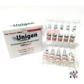 Unigen Pharma Testosteron Propionat 100mg 10 Ampül